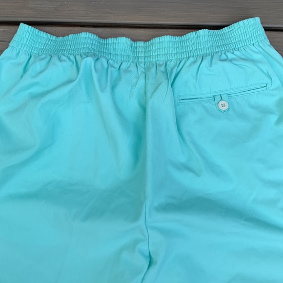 Arnold Palmer Aqua Shorts - Picture 8 of 12